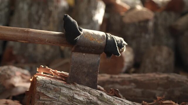Detailed close-up of a wooden axe embedded in a log, showcasing craftsmanship and rustic charm in a backyard woodpile setting on a sunny day