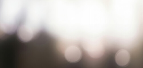 Abstract DSLR blurred background with warm white and brown tones, subtle bokeh lights, and a soft ambient glow creating a professional and elegant office atmosphere.