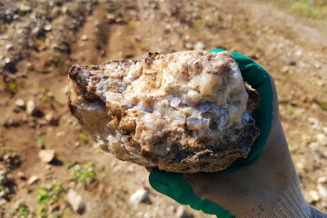 A fragment of fossilized colonial coral replaced by quartz and chalcedony found in a quarry, rockhounding