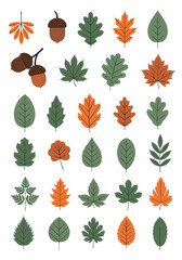 A beautiful collection of colorful autumn leaves and acorns displayed in a grid pattern.