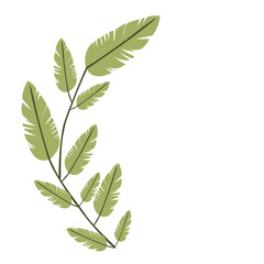 Green leafy stem plant illustration, flat botanical vector design symbolizing natural tropical vegetation and eco-friendly concepts.
