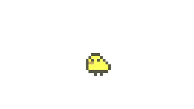 8-bit pixel art evolving from chick to chicken. looped animation 4k 30fps