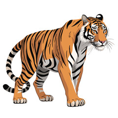 Obraz premium Majestic tiger standing alert with striking orange and black stripes in detailed illustration