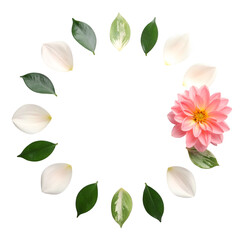 Naklejka premium A pink flower and white petals arranged in a circle on black.
