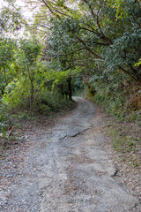 山登りする小さな道