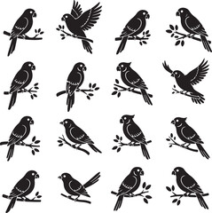 Birds Silhouettes: A collection of bird silhouettes in different poses. capturing the beauty of avian creatures.