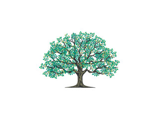 Olive tree logo  templates with circular shape, oak tree with the gap below the tree and the root to fill in the writing