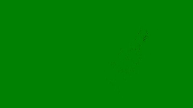 An animation of blood splashing with dynamic motion on a green screen background.