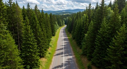 Scenic highway winding through a dense pine forest with rolling hills in the distance under a cloudy sky.