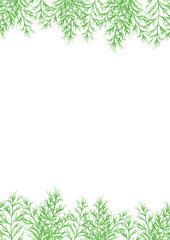 Fototapeta premium 水彩風に描いたディルのイラスト