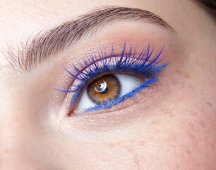 Obraz premium Human female eye with blue eyelashes makeup.