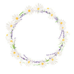 水彩風に描いたカモミールのイラスト