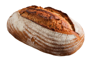 loaf of freshly baked sourdough bread isolated on background