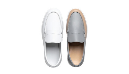 0 - Dual fashion canvas slip-ons, contemporary casual footwear isolated on transparent background