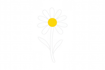White daisy flower drawing with yellow center, simple cartoon floral design, blossom illustration on transparent background