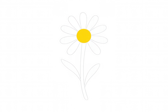 White daisy flower drawing with yellow center, simple cartoon floral design, blossom illustration on transparent background