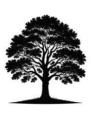 A detailed silhouette of a deciduous tree, black on white