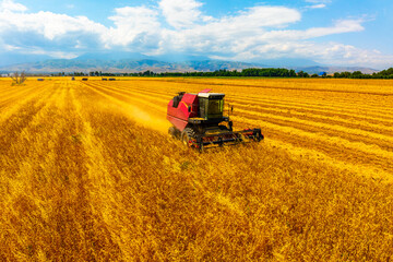 Fototapeta premium Combine harvester efficiently harvests crops in a peaceful rural field. Mountains rise in the distance under a bright sunny sky, evoking a sense of productivity and tranquility.
