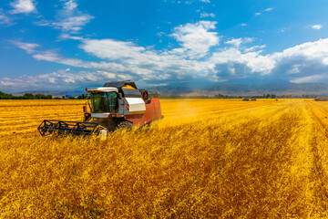 Obraz premium Combine harvester efficiently harvests crops in a serene rural field. Mountains in the background enhance the peaceful atmosphere during a sunny daytime.