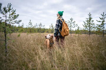 Calm woman owner strolling with Vizsla dog through marshy area in autumn peat bog surrounded by dry tall grasses. Female with dog stroll on wetland in North, enjoy silence of swamp nature. 