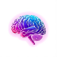 Holographic Neural Network