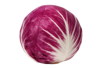 Obraz premium Fresh radicchio chicory vegetable for a healthy diet, offering vitamins, antioxidants, and a crisp raw taste