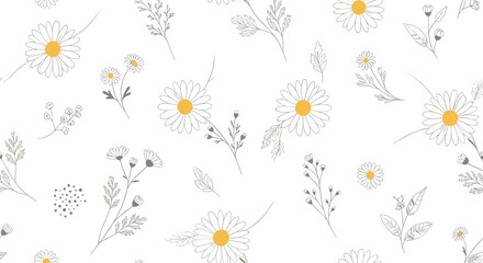 Delicate hand drawn chamomile flowers and grass scattered across a white background.