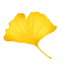 Fototapeta premium Yellow ginkgo leaf drawing. Ginkgo illustration with colored pencil texture