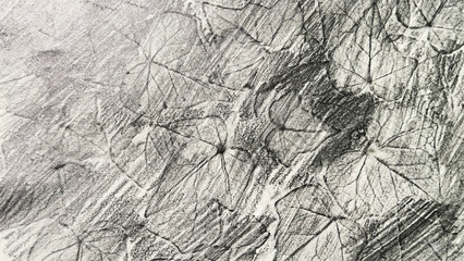 ivy leaves drawn with pencil, leaf veins drawn with pencil, pencil drawing background material