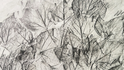 ivy leaves drawn with pencil, leaf veins drawn with pencil, pencil drawing background material