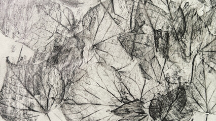ivy leaves drawn with pencil, leaf veins drawn with pencil, pencil drawing background material