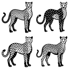 Four black and white cheetahs with spotted coats standing in various poses on a white background design art