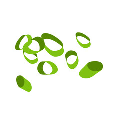 Slice scallons vector