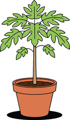 Fototapeta premium Cartoon illustration of a papaya tree in a terracotta pot with green leaves and brown soil on a white background