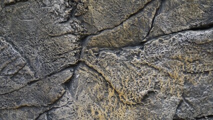 Textured Stone Wall Close-Up