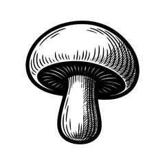 Vintage black and white vector illustration of a mushroom, engraved style food drawing for organic, vegan, or farm-to-table design projects