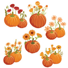 vector drawing set of pumpkins and flowers Thanksgiving day decoration, autumn vegetable compositions , hand drawn illustration