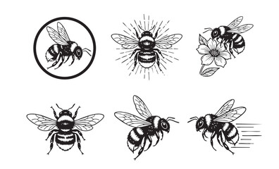 Charming set of bumble bee vector illustrations in various flying and perching poses with flowers, in a black and white woodcut style.