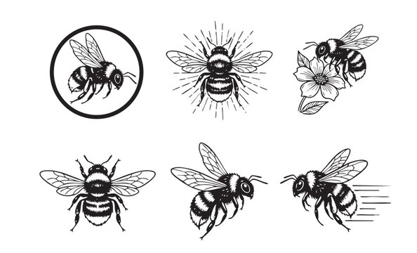 Charming set of bumble bee vector illustrations in various flying and perching poses with flowers, in a black and white woodcut style.