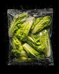 Fresh Romaine Lettuce in Sealed Plastic Bag
