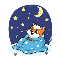 Cute fox wrapped in blanket gazing at stars on winter night  