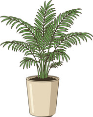Obraz premium Potted Areca palm plant with green fronds in a light-colored pot potted plant houseplant