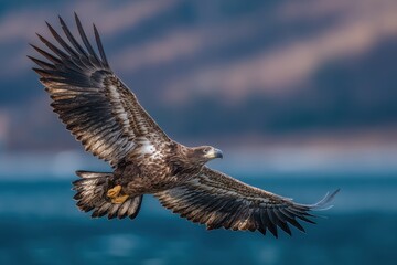 An eagle with outstretched wings flying in the open sky