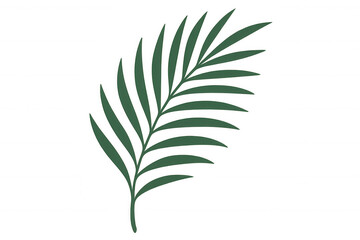 Green palm frond illustration, tropical nature leaf, botany design element, exotic plant on transparent background