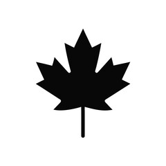 Silhouette of a maple leaf on white background on transparent background