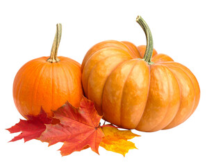 An orange pumpkin for Halloween or Thanksgiving is isolated on a white background