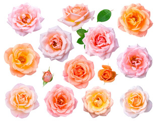 Fototapeta premium Seamless vintage floral pattern with a set of yellow roses, pink blossoms, and green leaves for a romantic, beautiful vector design illustration