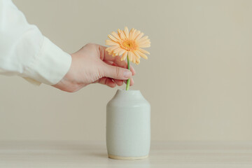 ガーベラの花を花瓶に挿す手