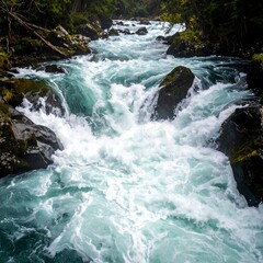 A turbulent river cascades through rocky terrain, surrounded by greenery, in a nature scene