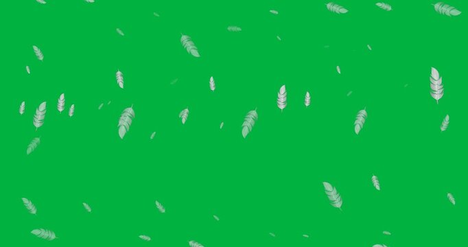 Digital animation of multiple feather icons falling against black background